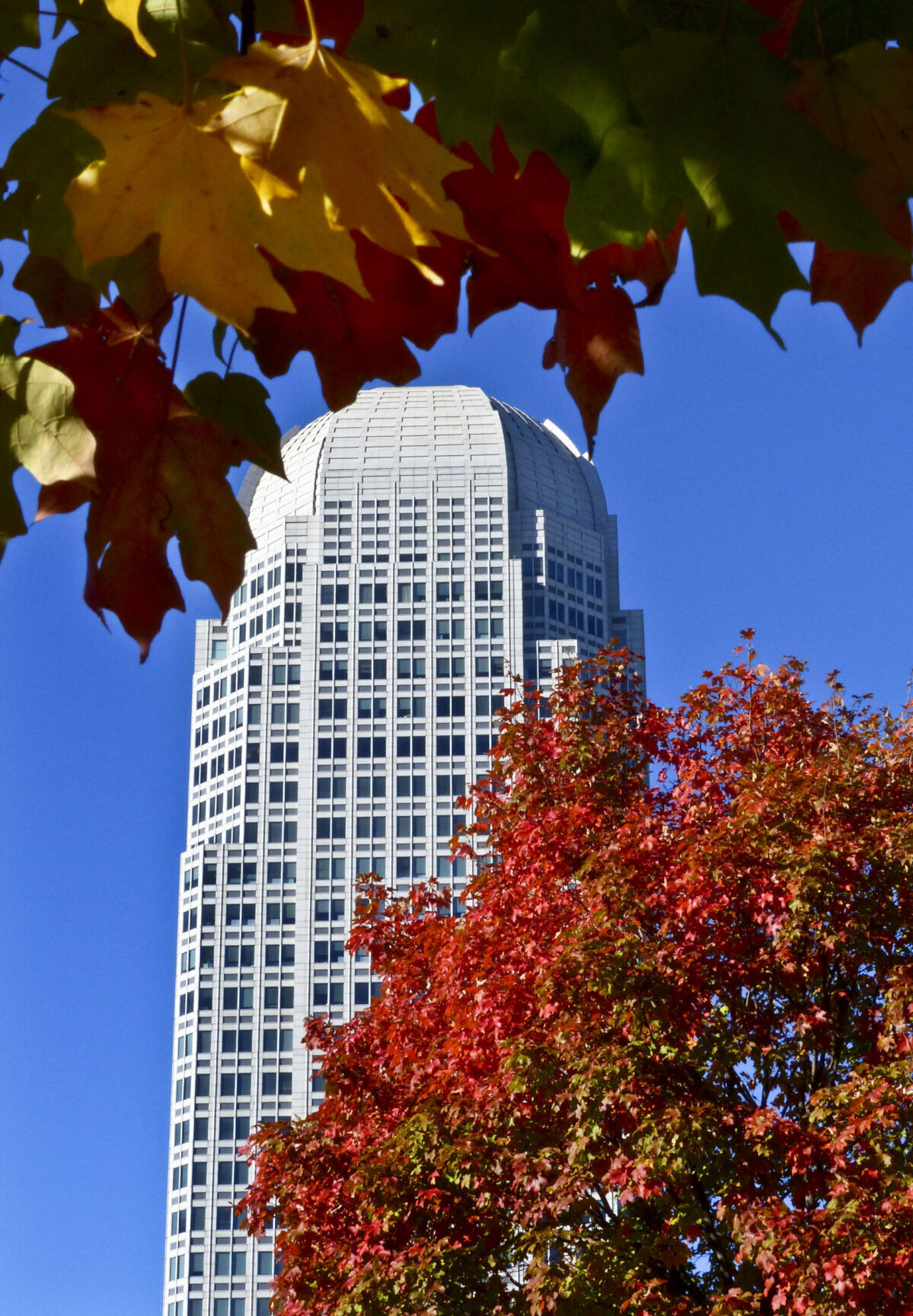 20151020w_nws_standalone